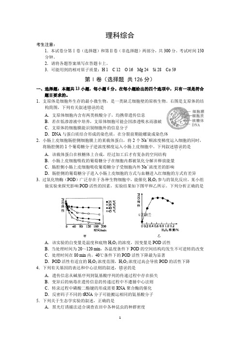 河南省新乡市2019届高三下学期第一次模拟测试理综试卷 Word版含答案