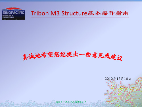 Tribon-Structure基本操作指南