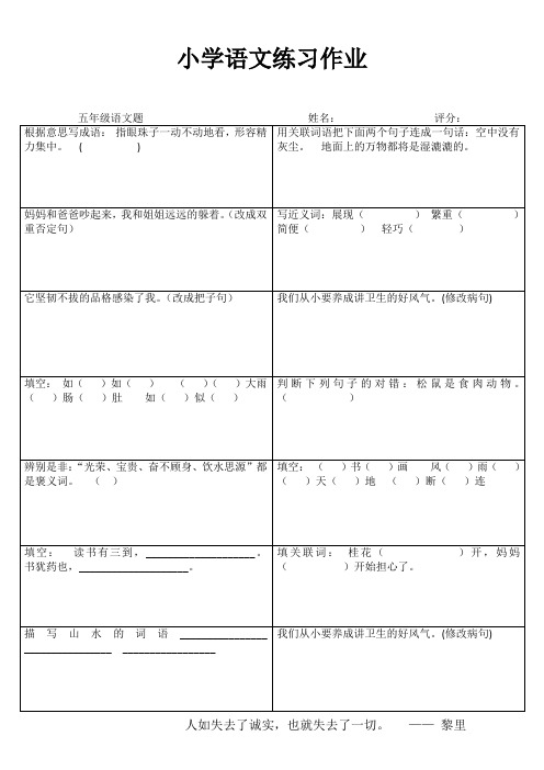 小学五年级语文精作细练II (55)