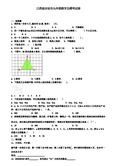 江西省吉安市九年级数学五模考试卷