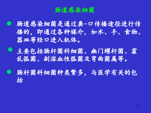 消化道传播的病原微生物PPT课件