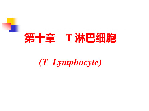 医学免疫学第十章 T淋巴细胞(新)