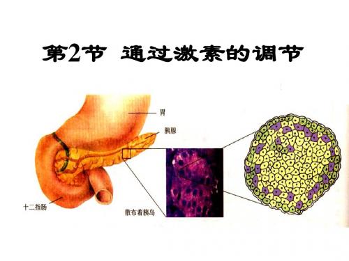 2.2 通过激素调节 PPT课件