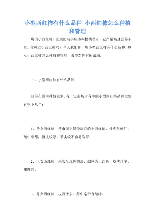 小型西红柿有什么品种 小西红柿怎么种植和管理