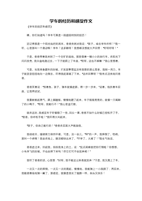 学车的经历和感受作文