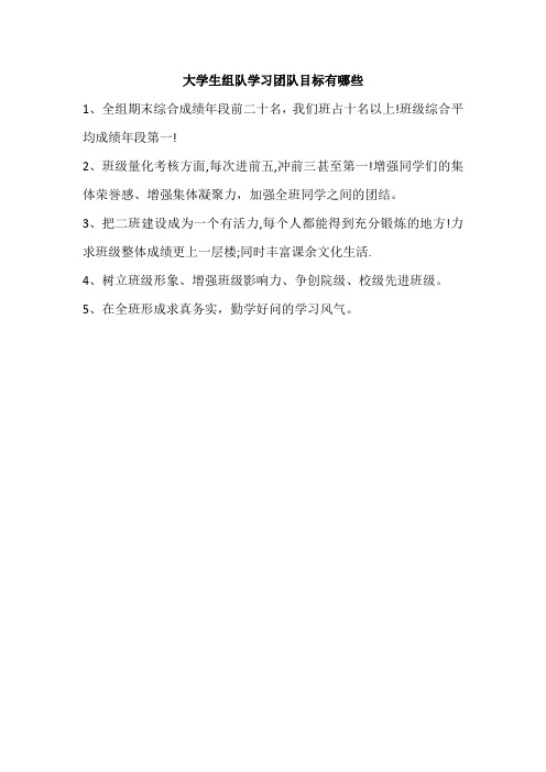 大学生组队学习团队目标有哪些