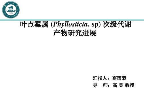 叶点霉菌