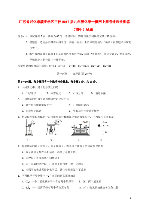 江苏省兴化市顾庄学区三校九年级化学一模网上阅卷适应性训练(期中)试题