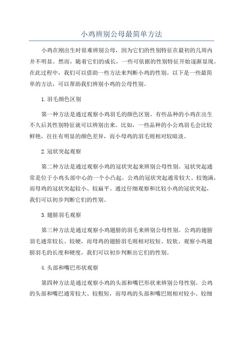 小鸡辨别公母最简单方法