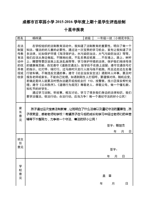 法制十星申报表