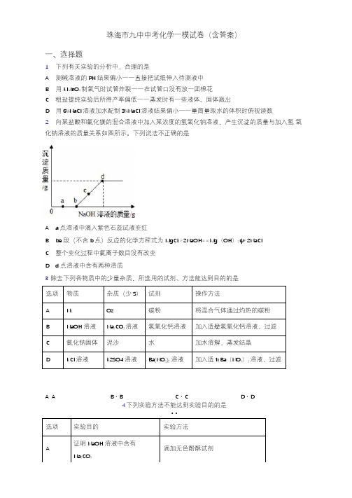 珠海市九中中考化学一模试卷(含答案)