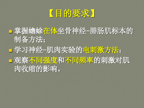 刺激强度、刺激频率与肌肉收缩反应的关系