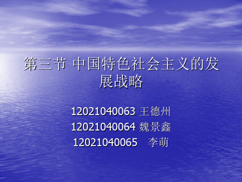 中国特色社会主义的发展战略