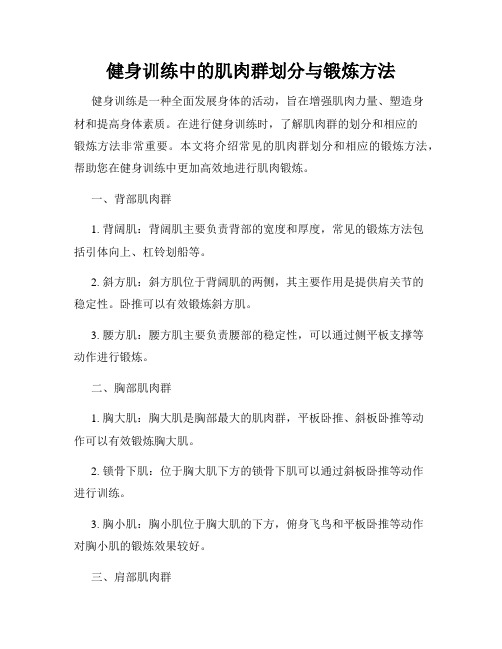 健身训练中的肌肉群划分与锻炼方法