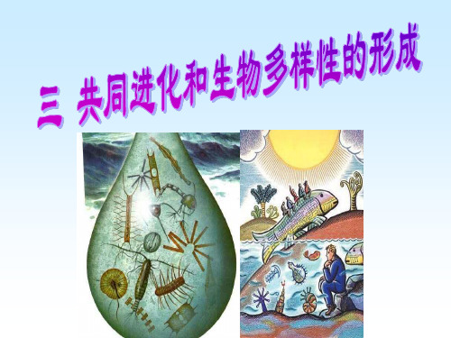 高考生物复习课件 723共同进化和生物多样性的形成 (共33张PPT)