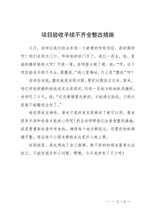 项目验收手续不齐全整改措施