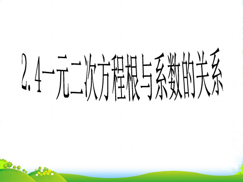 湘教版九年级数学上册《一元二次方程根与系数的关系》课件(共16张PPT)