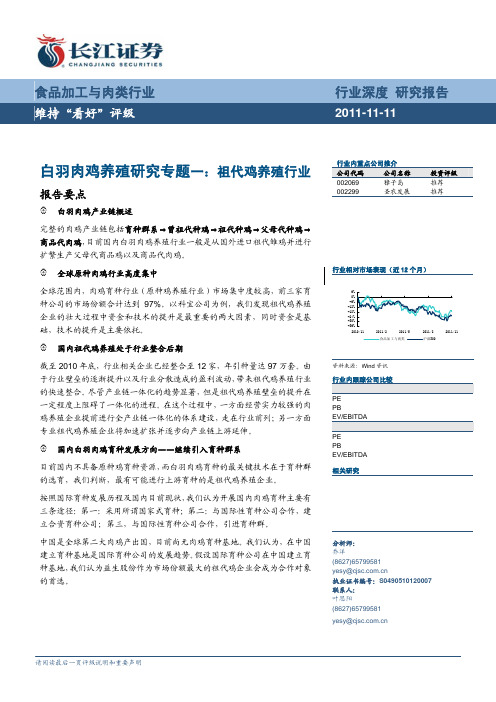 白羽肉鸡养殖研究专题一：祖代鸡养