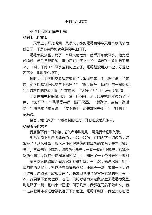 小狗毛毛作文（精选5篇）