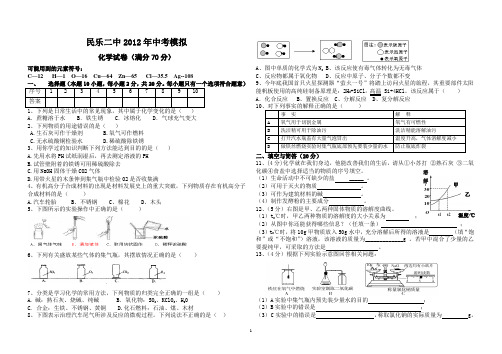 九年级化学模拟试卷