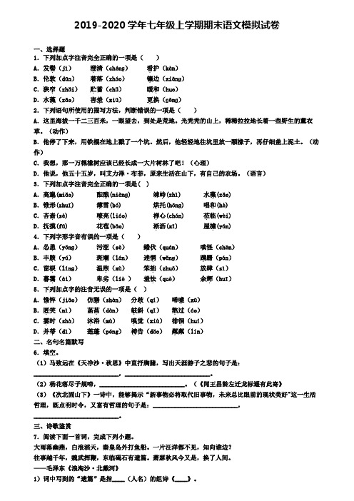 (精选3份合集)2020年北京市朝阳区语文七年级(上)期末复习检测模拟试题