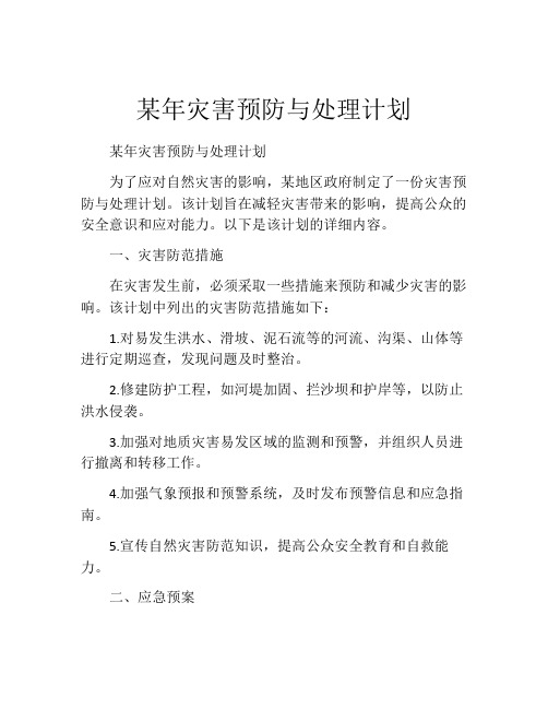 某年灾害预防与处理计划