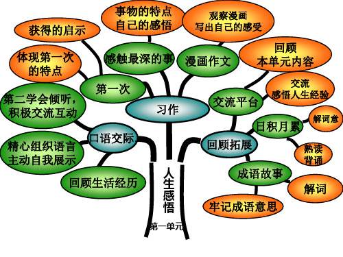 六年级语文下册知识树