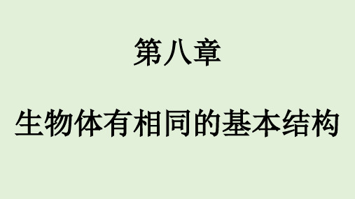 苏科版七年级生物下册期末复习课件