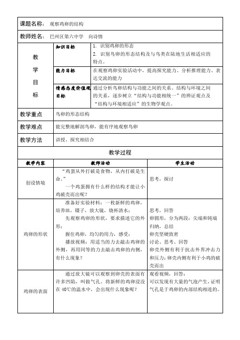 初中生物北师大八年级上册(2023年新编)第6单元 生命的延续观察鸡卵的结构