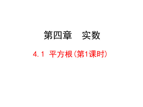 苏科版数学八年级上册平方根ppt演讲教学