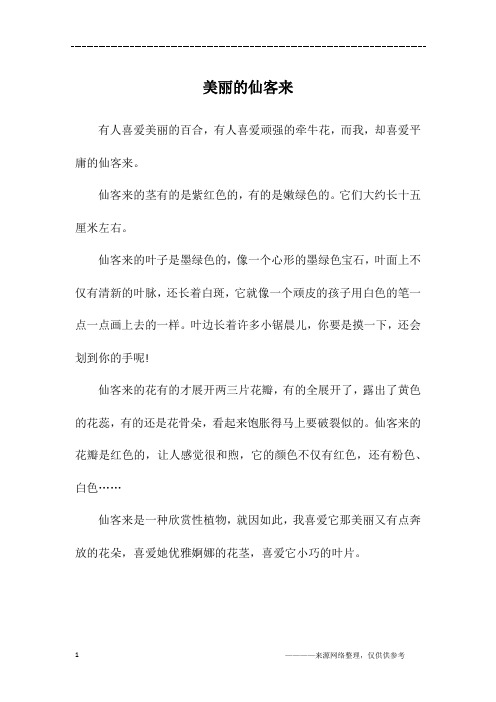 美丽的仙客来_六年级作文