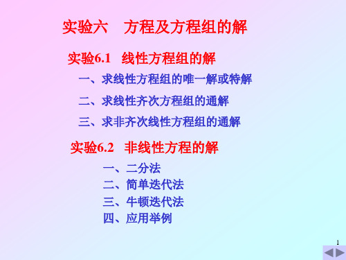 06实验六  方程及方程组的解