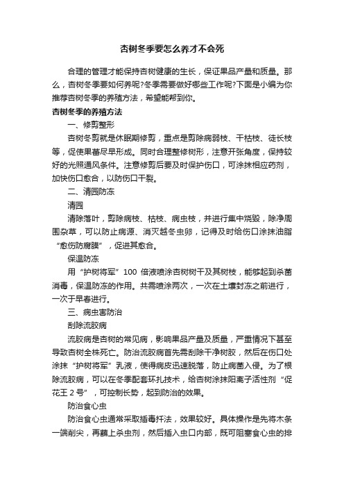 杏树冬季要怎么养才不会死