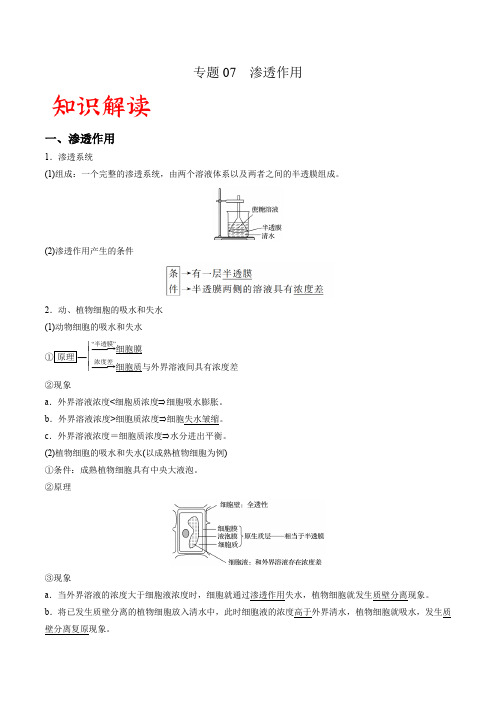 专题07 渗透作用(解析版)