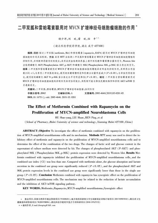 二甲双胍和雷帕霉素联用对MYCN扩增神经母细胞瘤细胞的作用