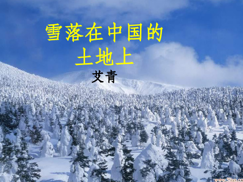 课件雪落在中国的土地上课件1