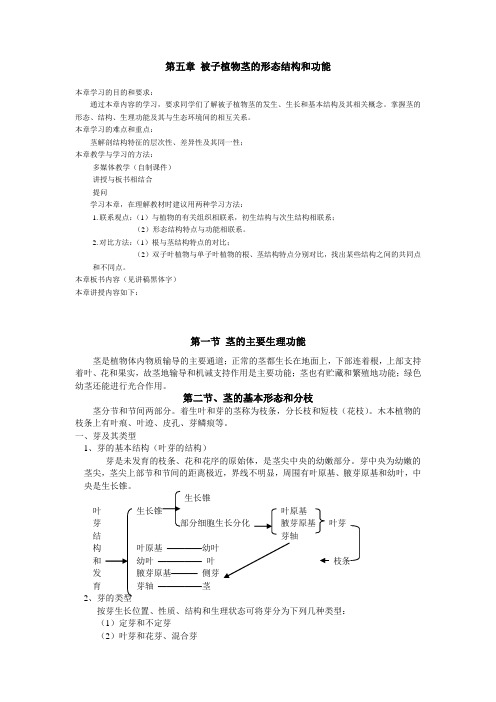 被子植物茎的形态结构和功能