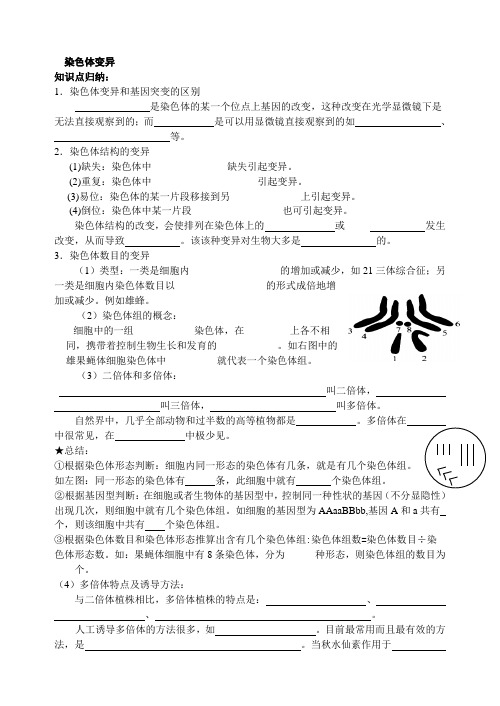 染色体变异导学案