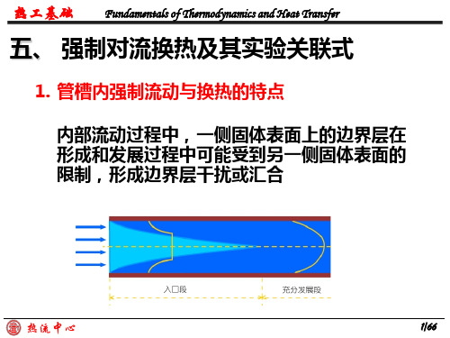 西安交大热工基础第11章对流换热2