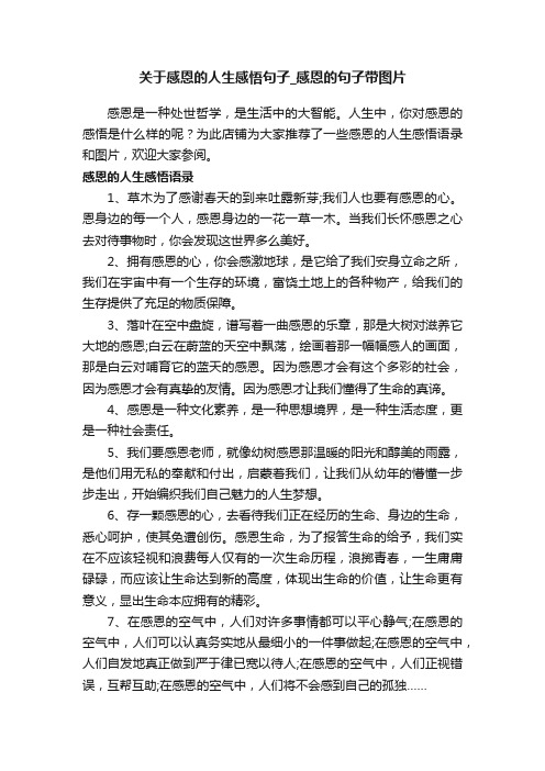 关于感恩的人生感悟句子_感恩的句子带图片