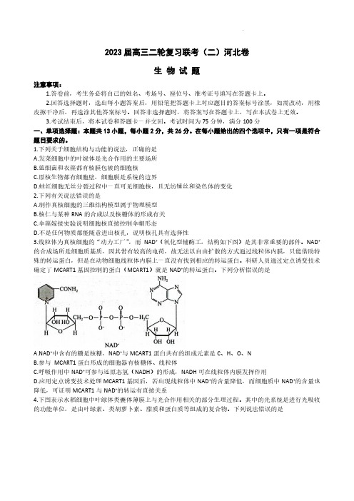 2023百师联盟高三4月二轮复习联考二(新高考)生物试题含答案