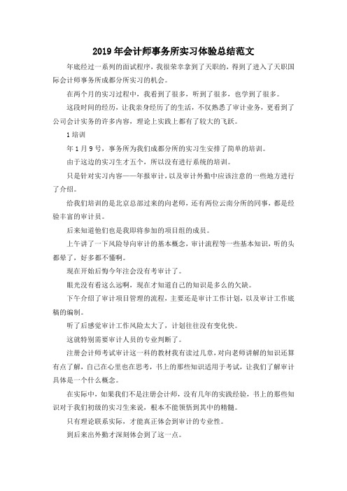 最新-2019年会计师事务所实习体验总结范文 精品