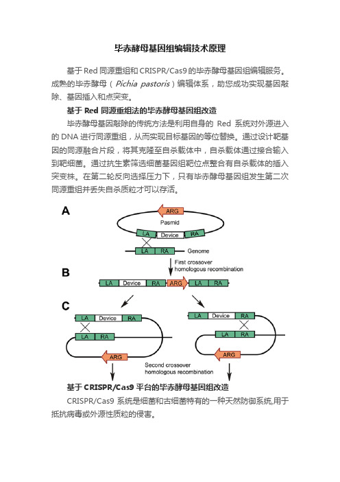 毕赤酵母基因组编辑技术原理