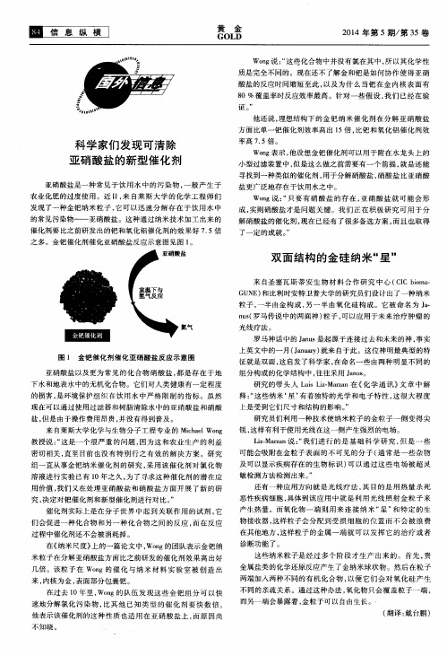 科学家们发现可清除亚硝酸盐的新型催化剂-论文