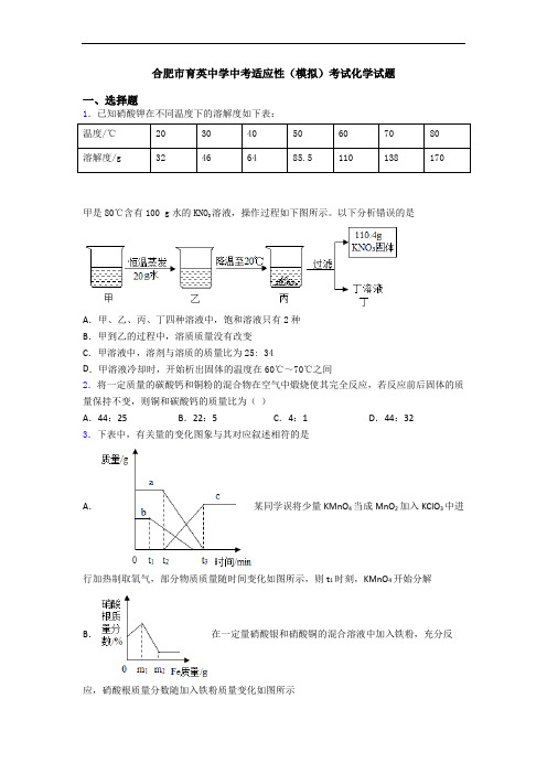 合肥市育英中学中考适应性(模拟)考试化学试题