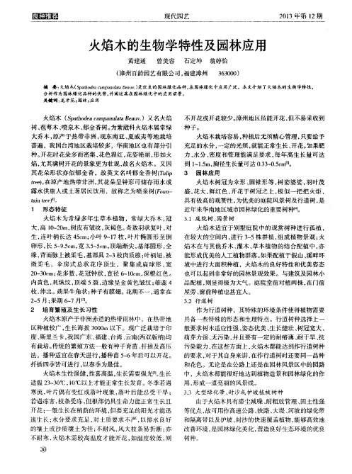 火焰木的生物学特性及园林应用