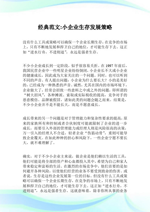 经典范文小企业生存发展策略.doc