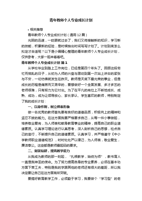 青年教师个人专业成长计划