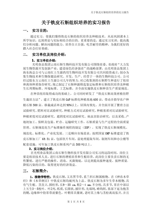 关于铁皮石斛组织培养及种植的实习报告(园林园艺系毕业论文范本)作者：温馨燕