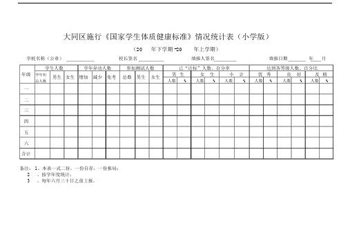 《国家学生体质健康标准》情况统计表中小学版.docx